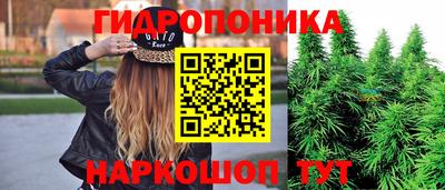 скорость Будённовск