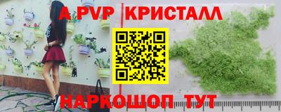 скорость Будённовск