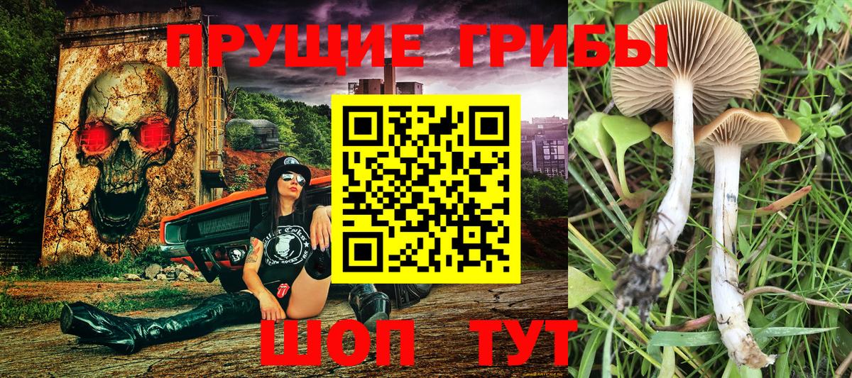 Балашов  Галлюциногенные грибы мицелий  Псилоцибиновые грибы прущие грибы  Вход с VPN 