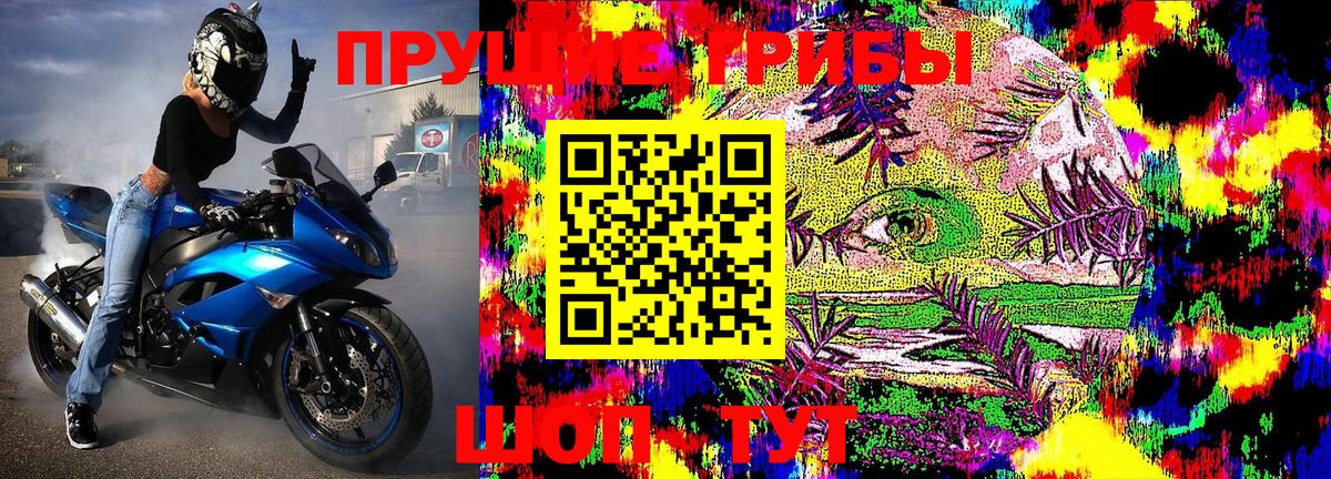 Псилоцибиновые грибы MAGIC MUSHROOMS Балашов
